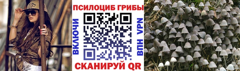 Псилоцибиновые грибы Psilocybe  закладка  Жигулёвск 