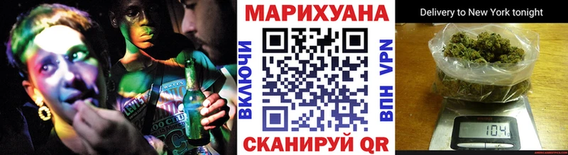 Конопля сатива  Жигулёвск 
